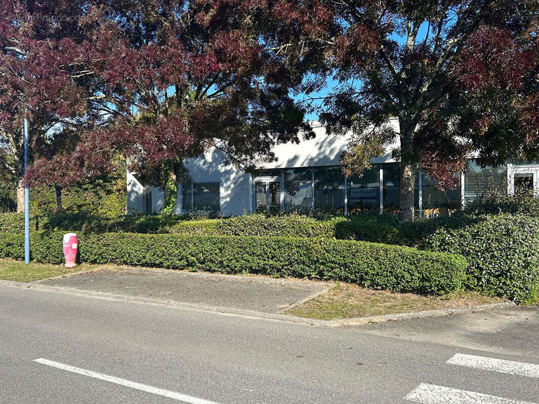 Commerce à DOUARNENEZ