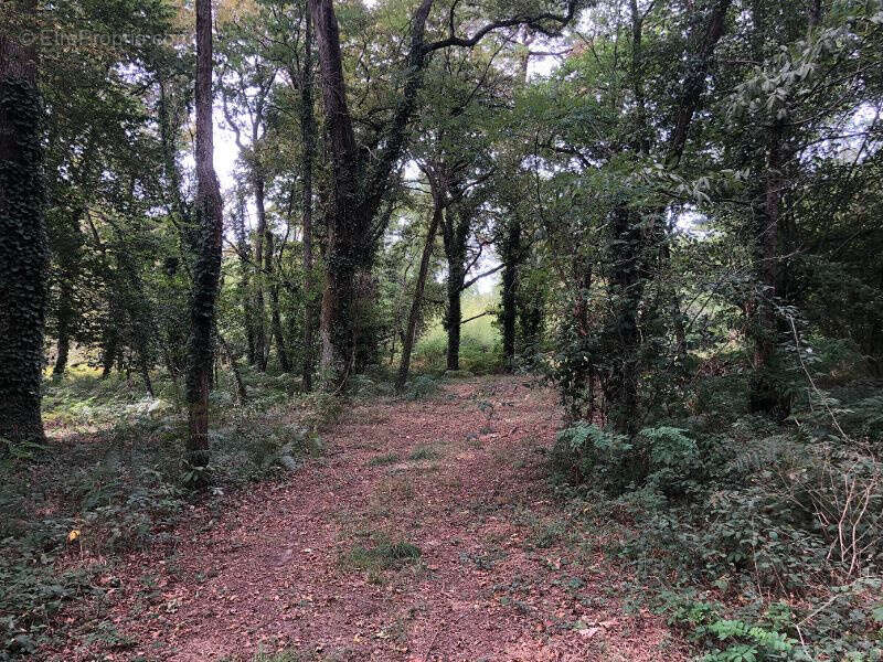 Maison à SAINT-ANDRE-DE-CUBZAC