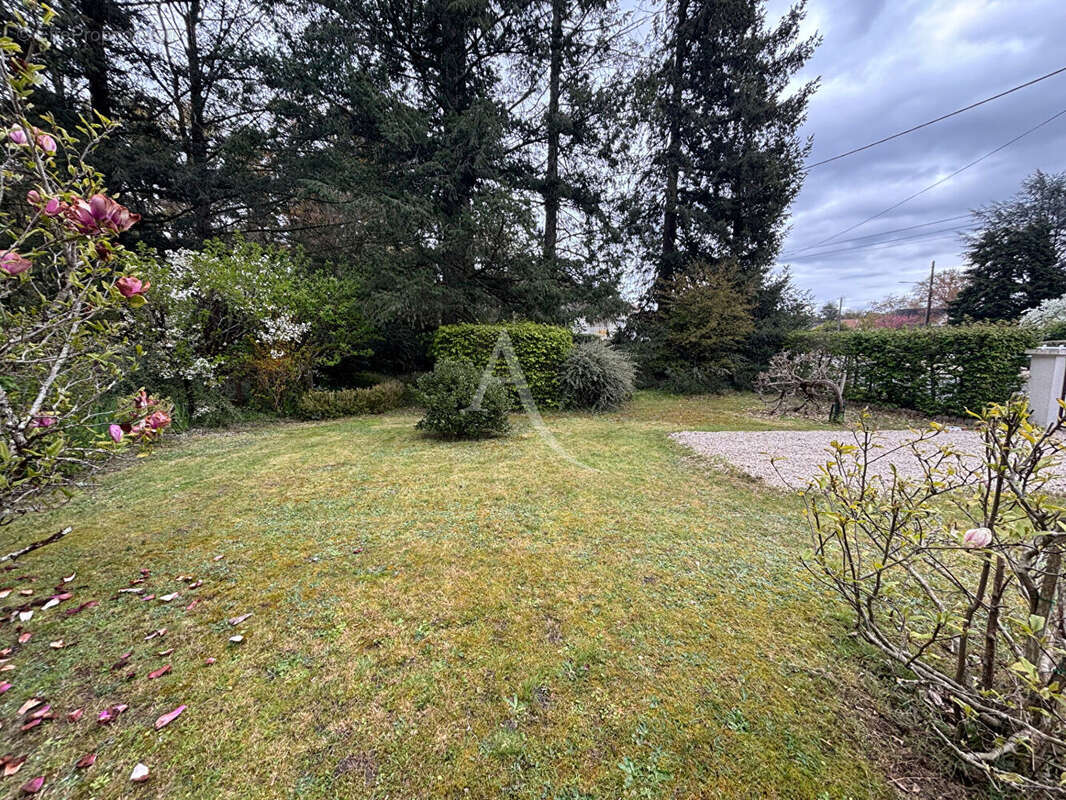 Maison à NOUAN-LE-FUZELIER