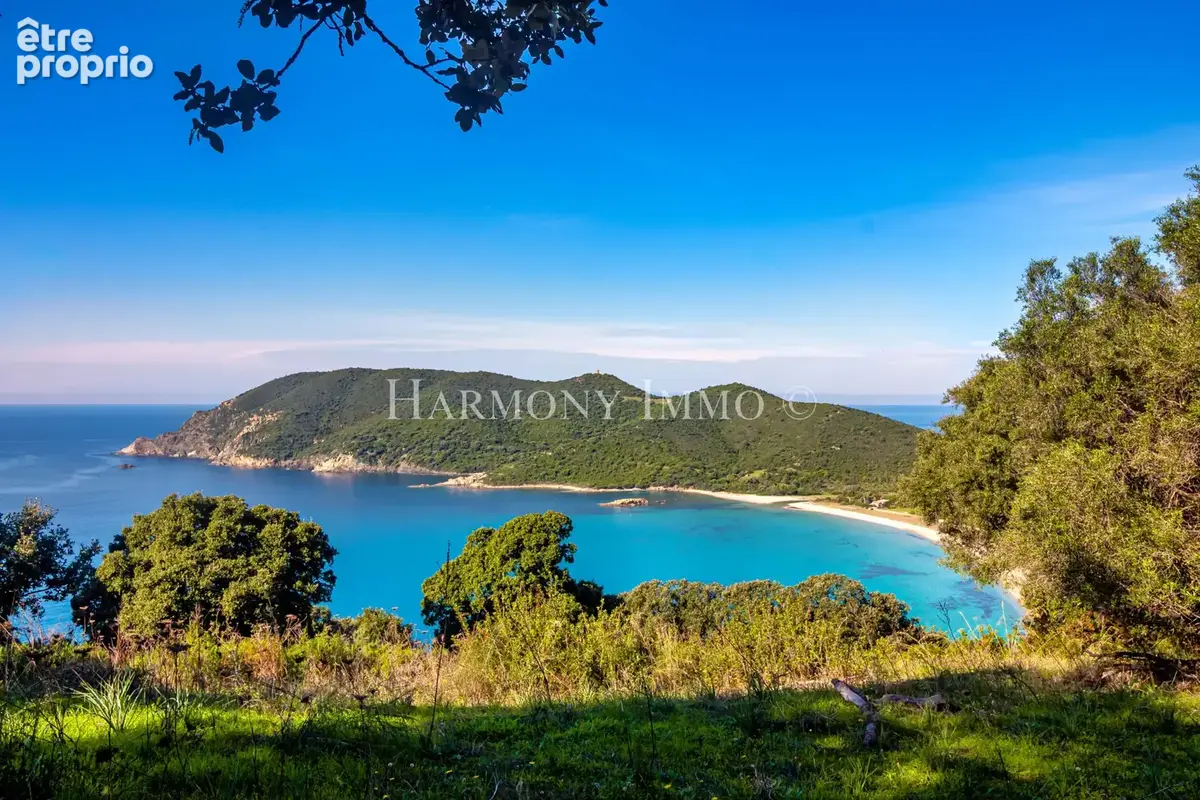 CAMPING 3 ÉTOILES VUE MER - Une opportunité d'investissement exceptionnelle en Corse-du-Sud - photo 2