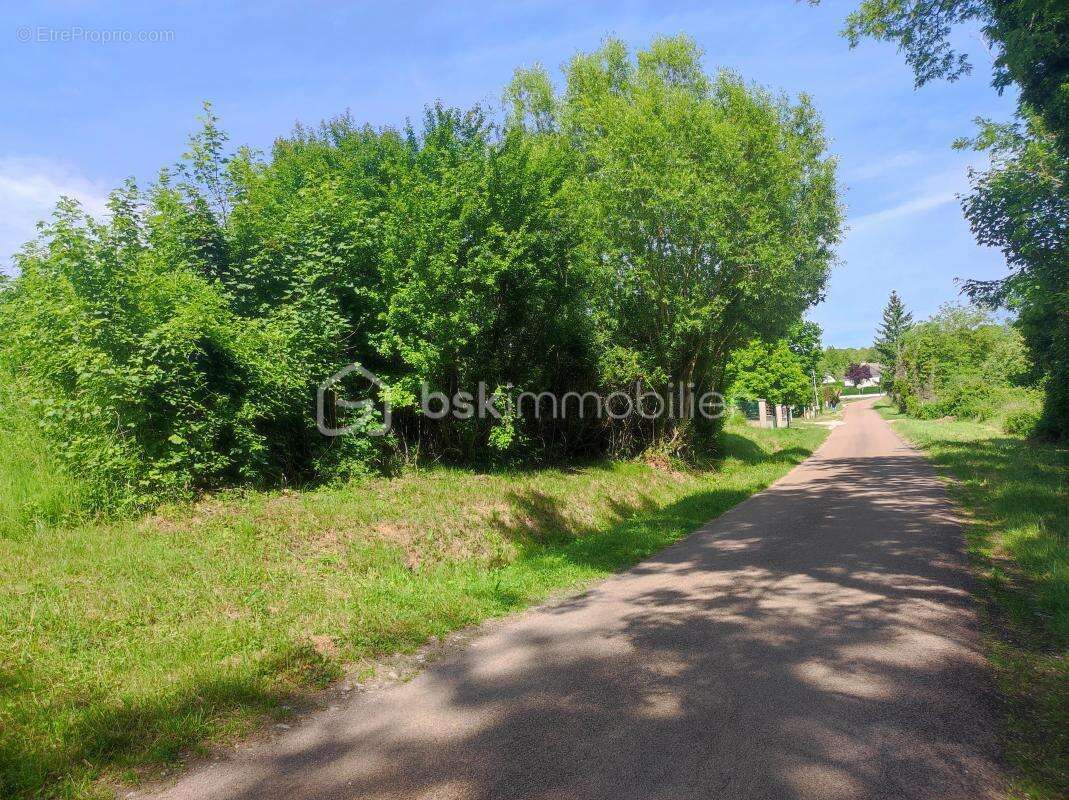 Terrain à SAINT-FLORENTIN