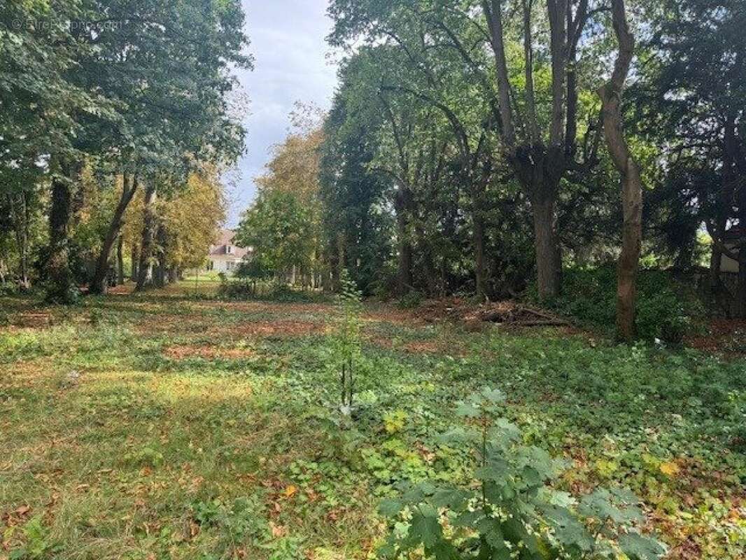 Photo 2 - Terrain à LE MESNIL-LE-ROI