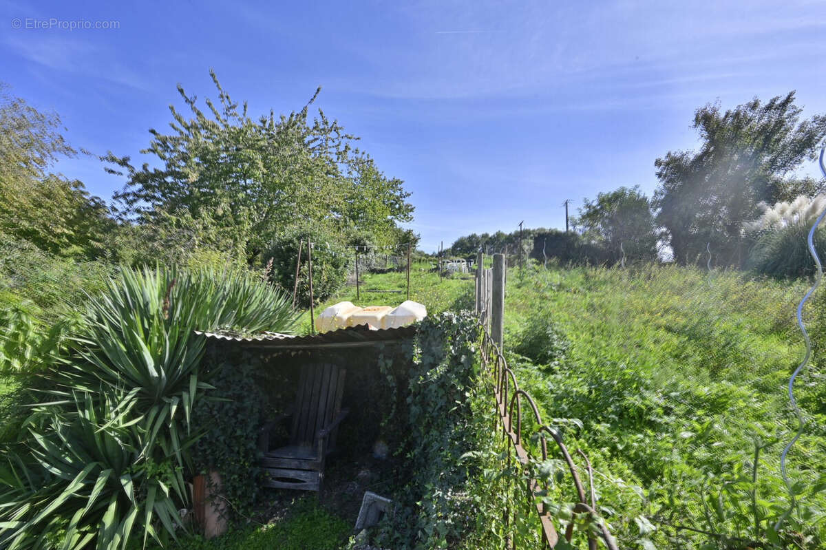 Maison 200 m² à La Chapelle-Des-Pots  - photo 4