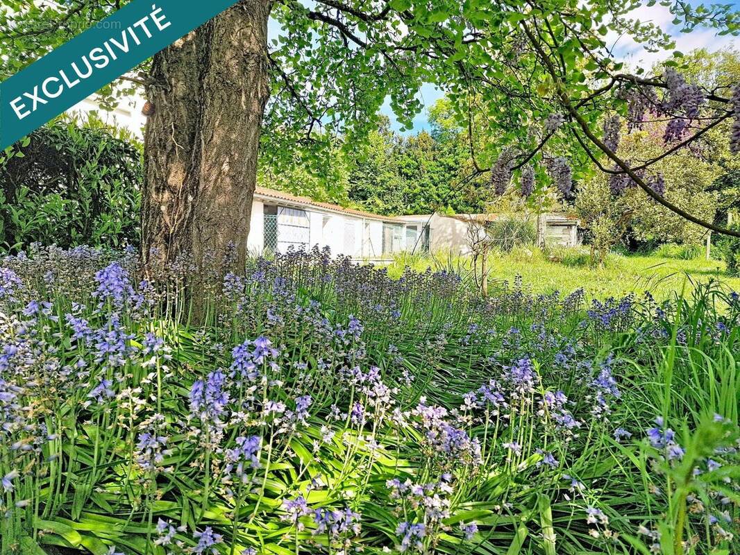 Photo 1 - Maison à CURZON