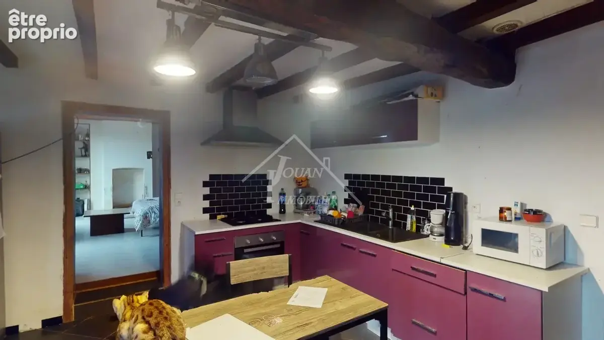 Maison pour investisseurs - photo 15
