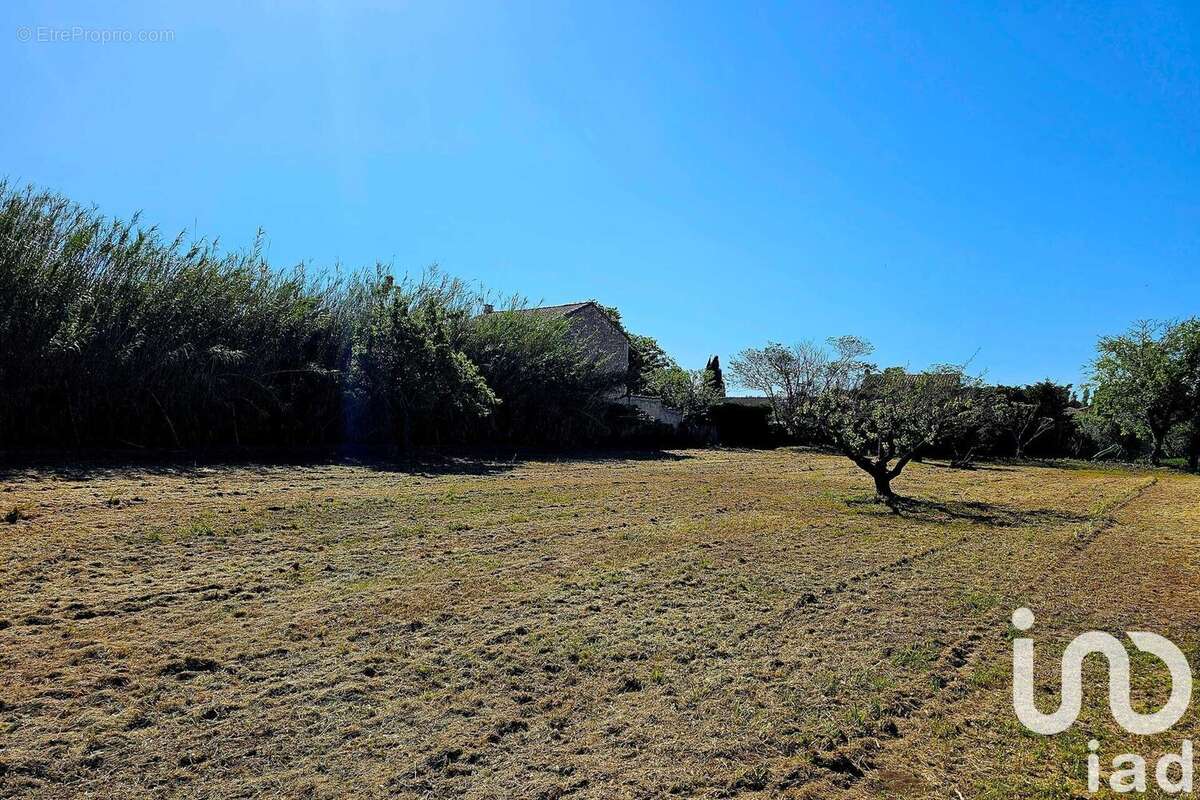 Photo 3 - Terrain à MOURIES