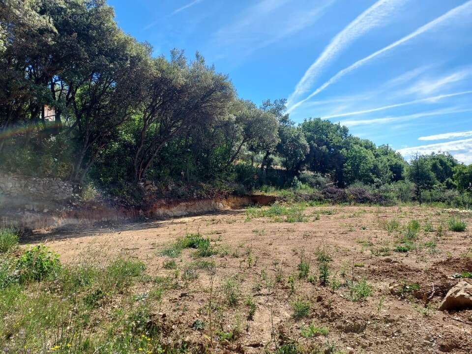 Terrain 1400 m² à Camps-La-Source  - photo 2