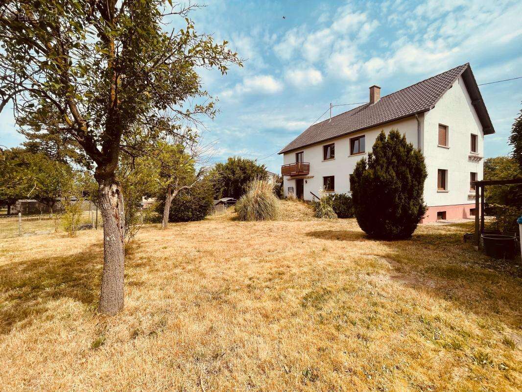 Maison À Vendre à HAGUENAU - photo 40
