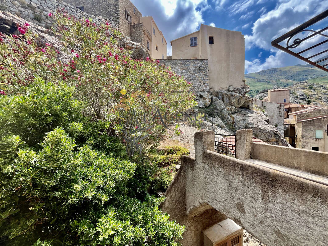 Maison de village speloncato - balagne - photo 2