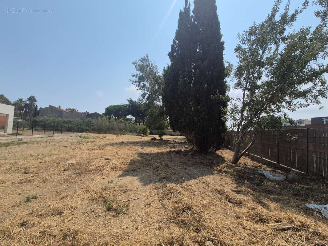 Terrain à vendre 2064 m²  - SAINTE MARIE LA MER - A 5 min des plages - photo 4