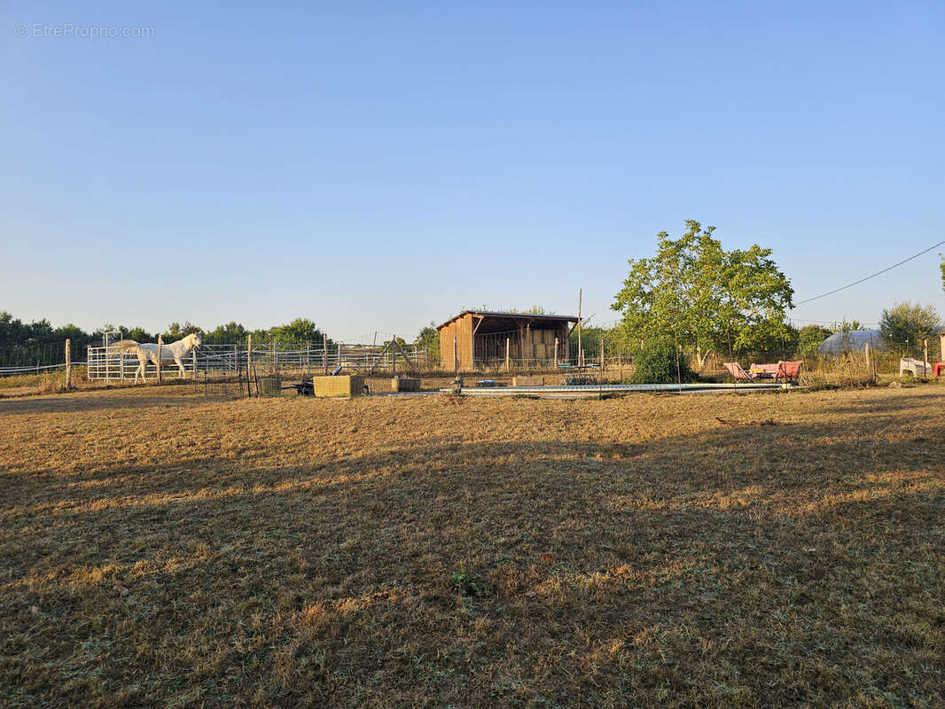 Propriété équestre de 5 hectares, entièrement clos, maison de plain pied 210m2 annexe 130m2 - photo 5