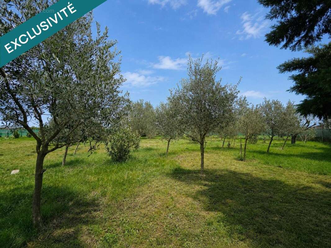 Maison 140 m² à Chateauneuf-Du-Rhone  - photo 8