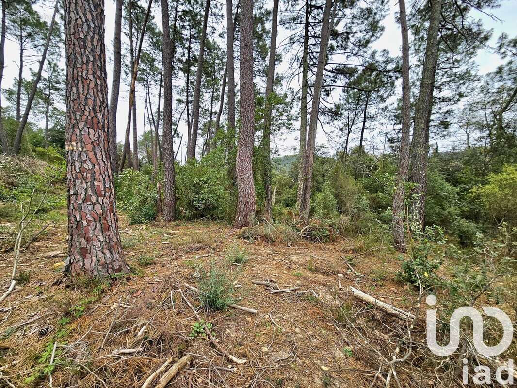 Photo 3 - Terrain à BRANOUX-LES-TAILLADES