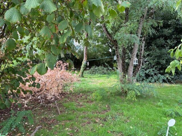 Terrain à ROCHEFORT