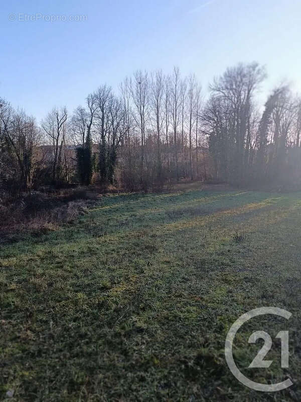 Terrain à VATRY