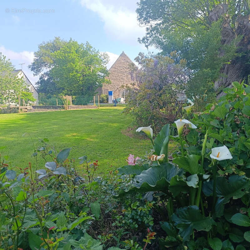 Maison à SAINT-NOLFF