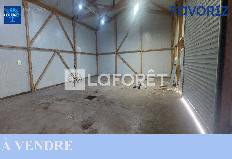 Commerce à TREVENANS