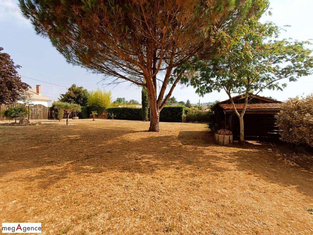 LANGON à 3 mn de cette très belle et grande demeure - photo 15