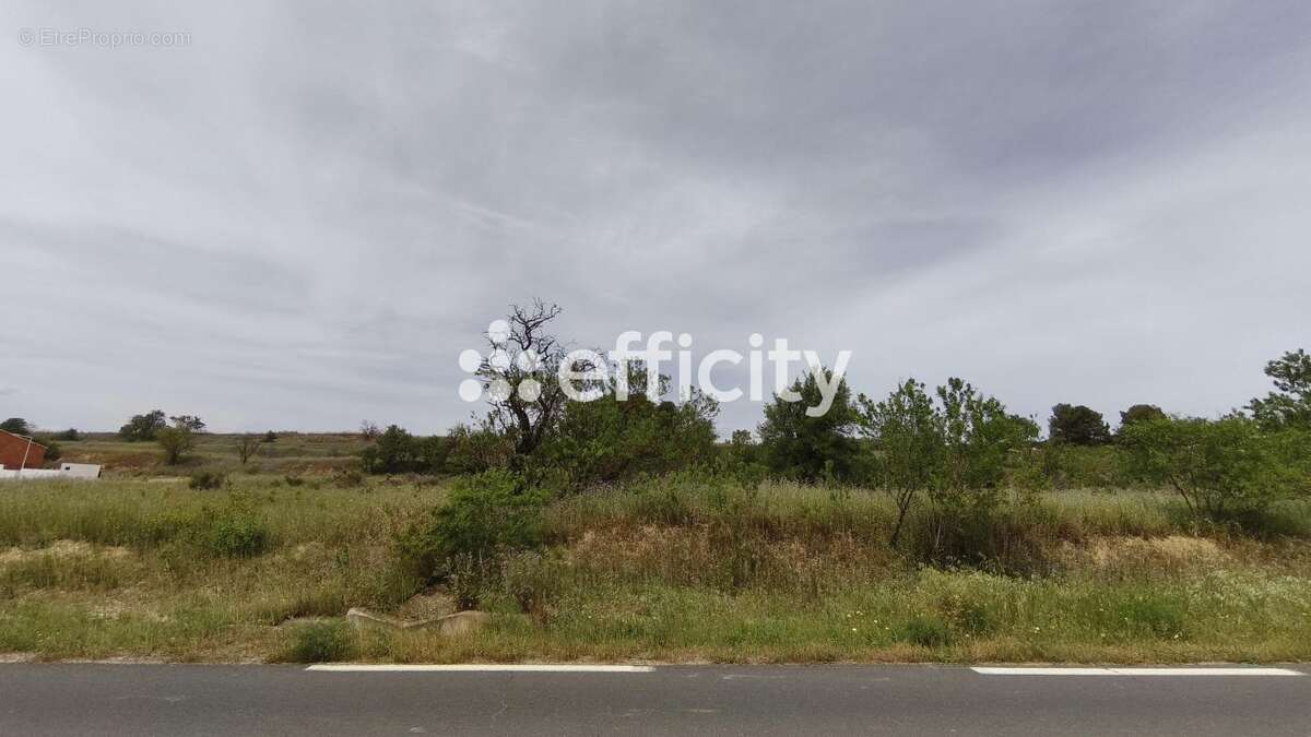 Terrain à NISSAN-LEZ-ENSERUNE