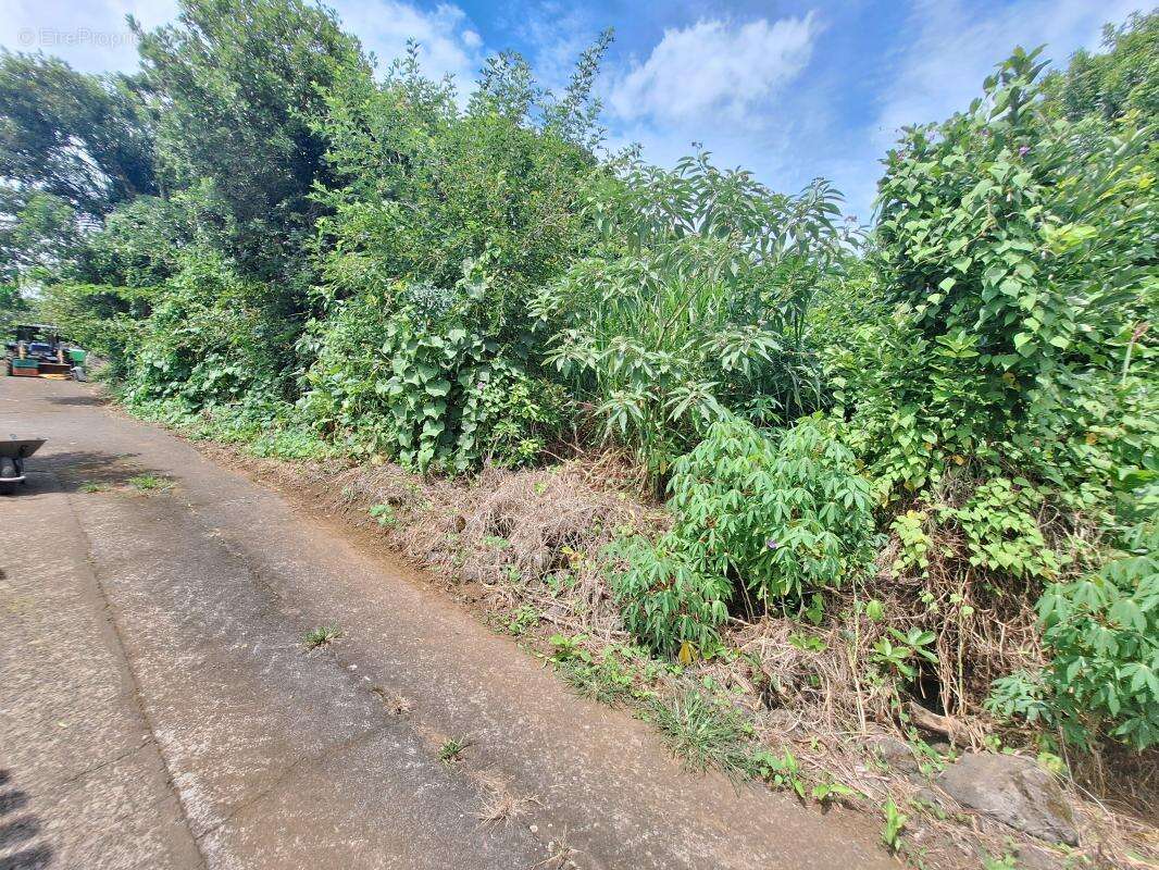 Terrain à PETITE-ILE