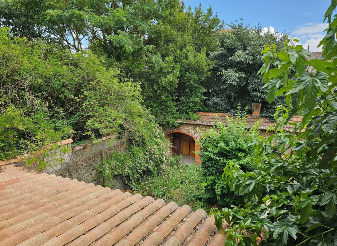 Maison à CARCASSONNE