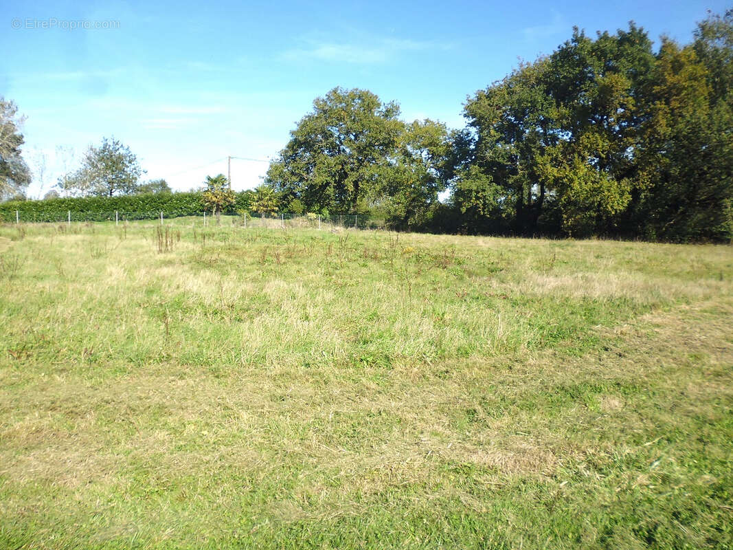 Commerce à TALMONT-SAINT-HILAIRE