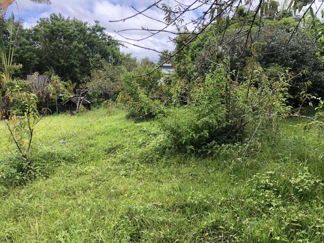 Terrain à LE TAMPON