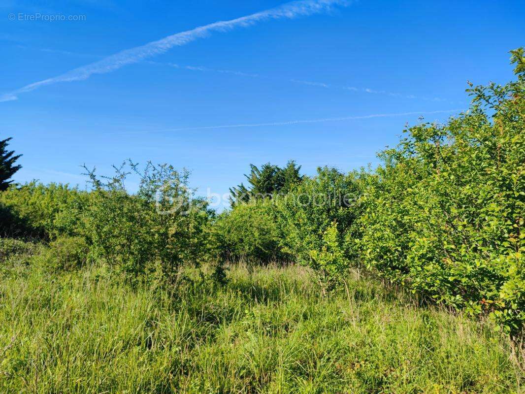 Terrain de loisir et arbres fruitiers de 5088 m² avec une belle vue - photo 4