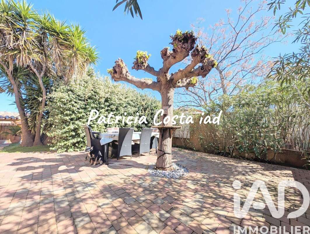 Photo 3 - Maison à ROQUEBRUNE-SUR-ARGENS