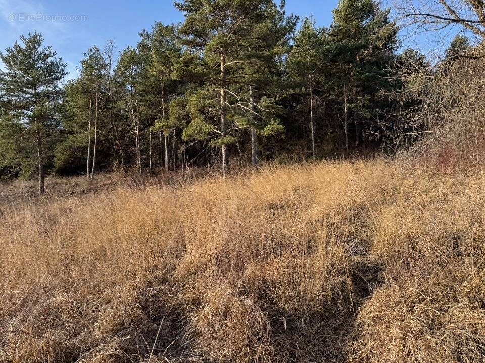 Terrain à TALLARD