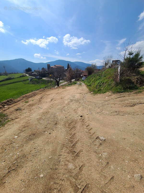 Terrain à MONESTIER