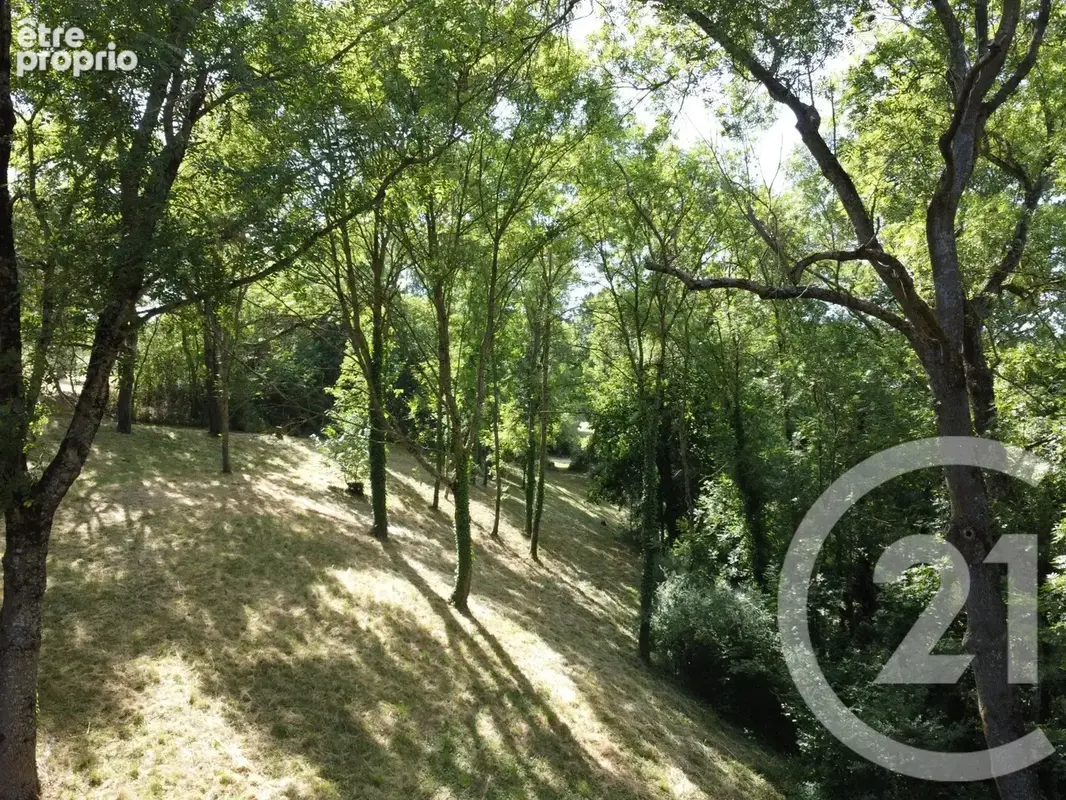Maison 9 pièces 220 m² à vendre à Saint-Jeure-D'ay (07290) - photo 25