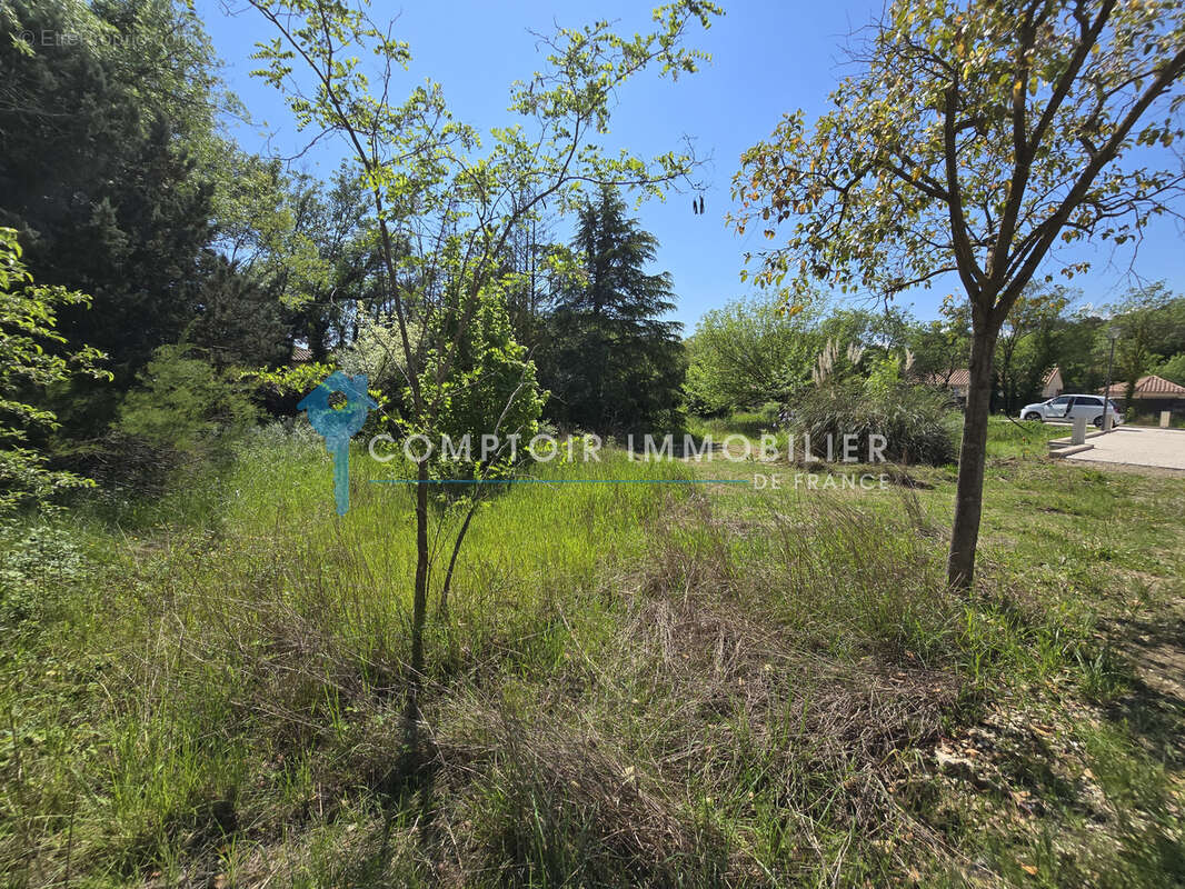 Dépt Hérault (34) - Prades le Lez - À vendre - Terrain à bâtir viabilisé de 1012m2 - Libre constructeur - photo 3
