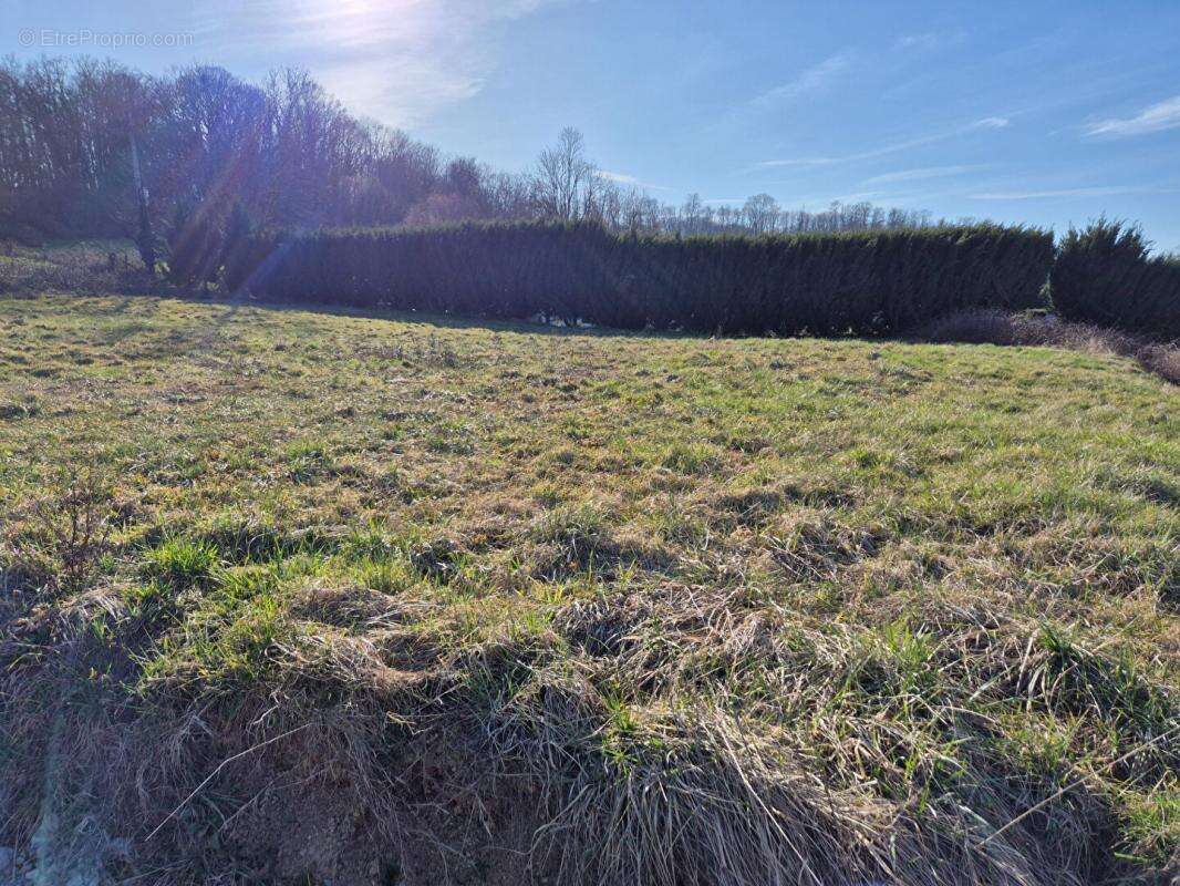 Terrain à VELLEMINFROY