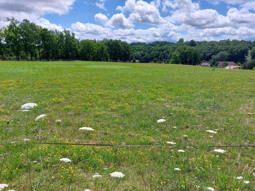 Terrain à SAINT-PARDOUX-LA-RIVIERE