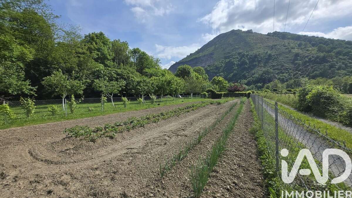 Photo 5 - Terrain à LURBE-SAINT-CHRISTAU