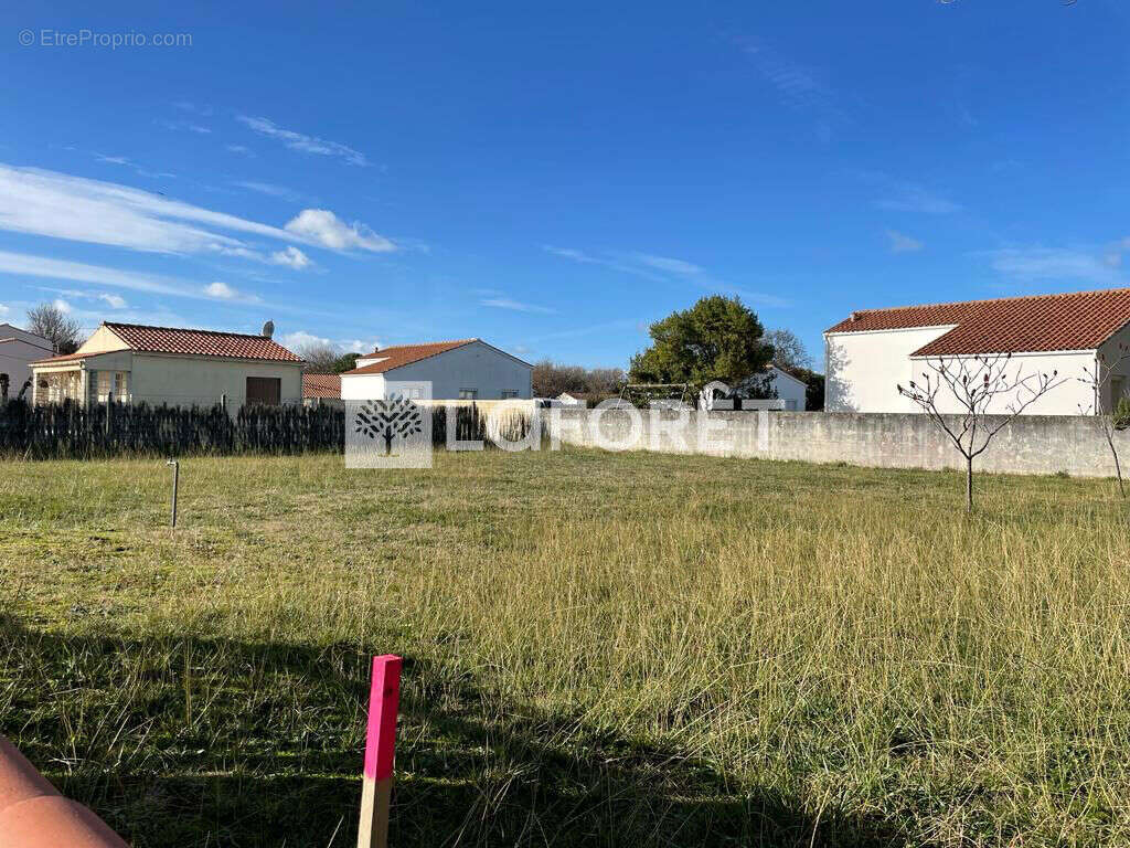 Terrain à SAINT-PIERRE-D&#039;OLERON