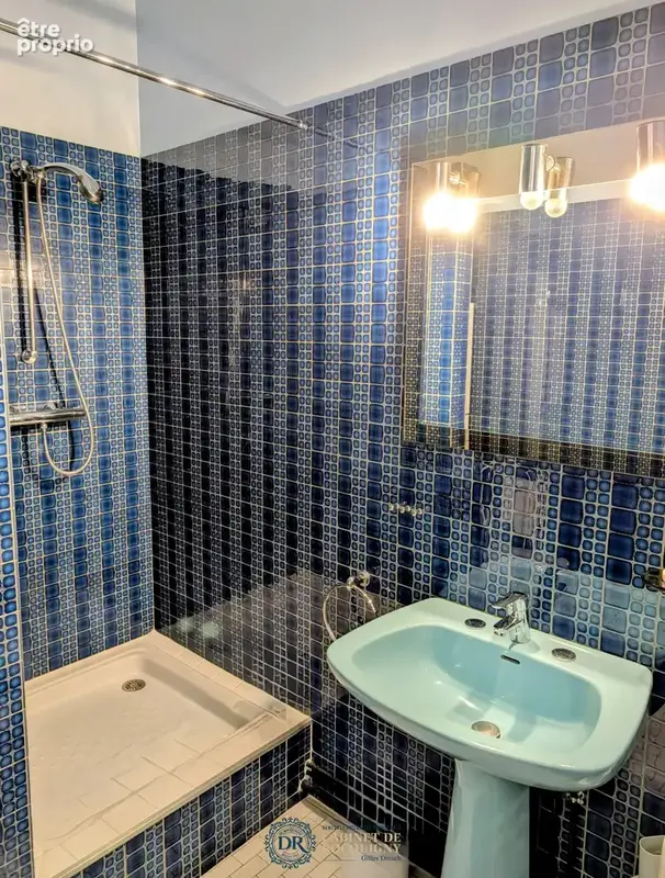 Grand appartement a vendre orleans parc pasteur - photo 14