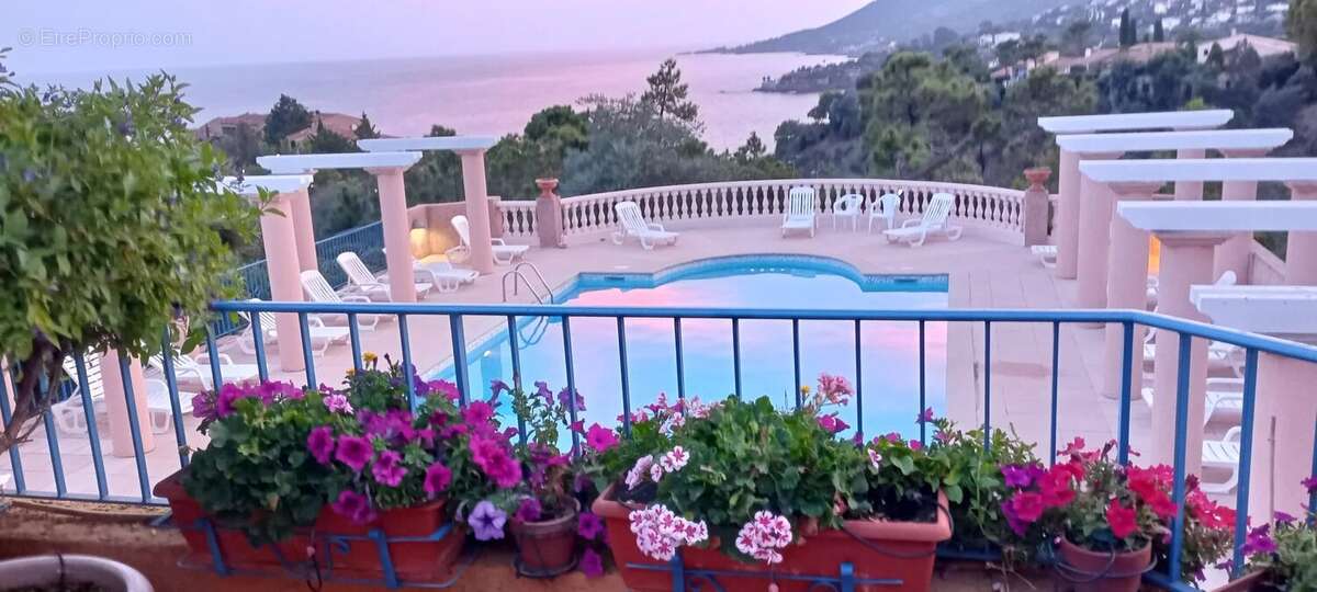 Appartement à THEOULE-SUR-MER