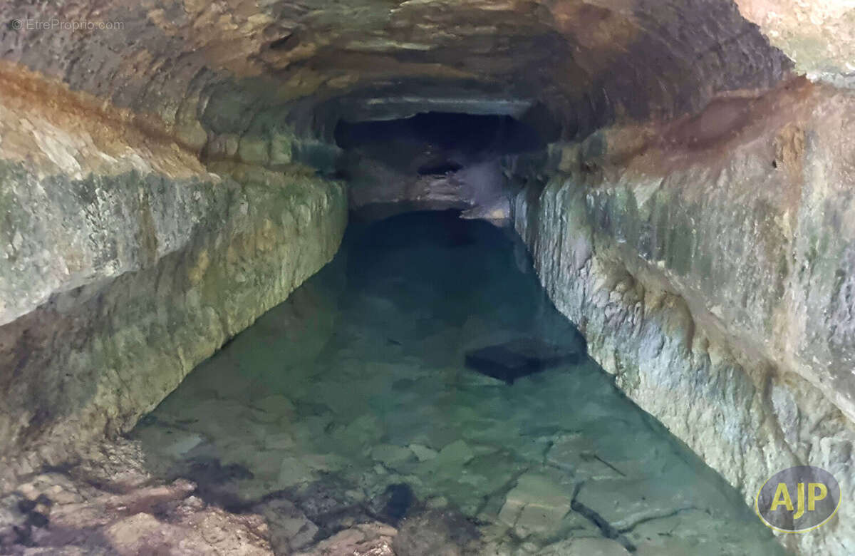Maison à SAINT-MICHEL-DE-FRONSAC