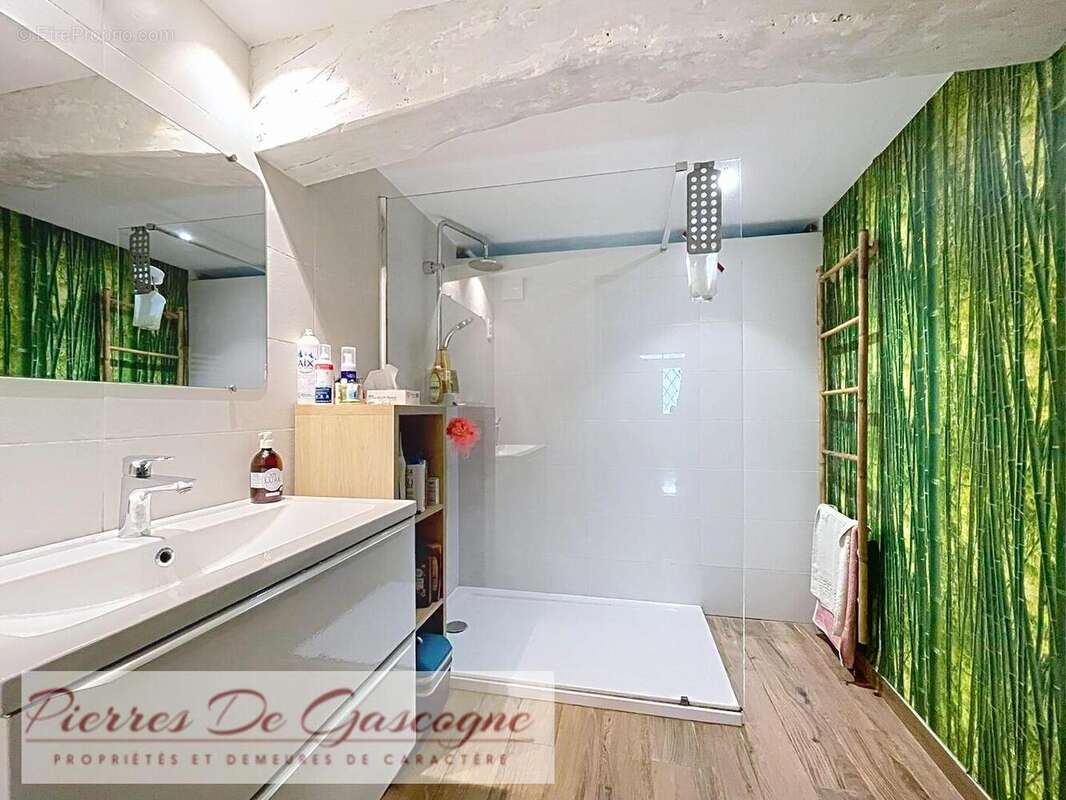 Proche CONDOM - Maison de campagne secteur CASTERA-VERDUZAN sur 10.095m² de terrain. - photo 8