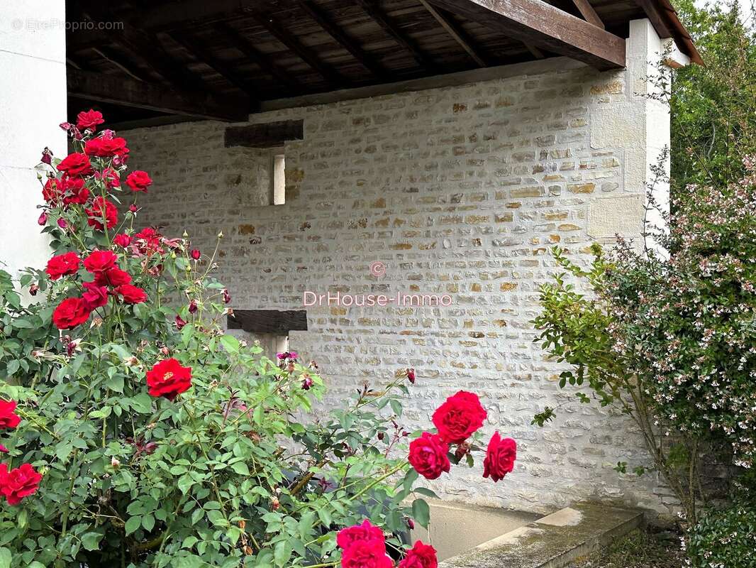 Maison 368 m² à Mansle  - photo 3