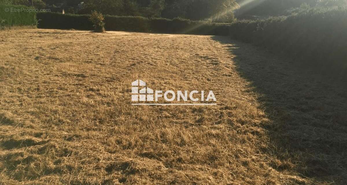 Terrain à VILLAINES-LES-ROCHERS