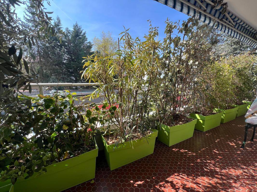 Appartement à CALUIRE-ET-CUIRE