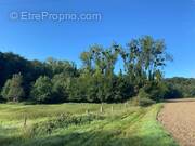 Photo 1 - Terrain à BERTHECOURT