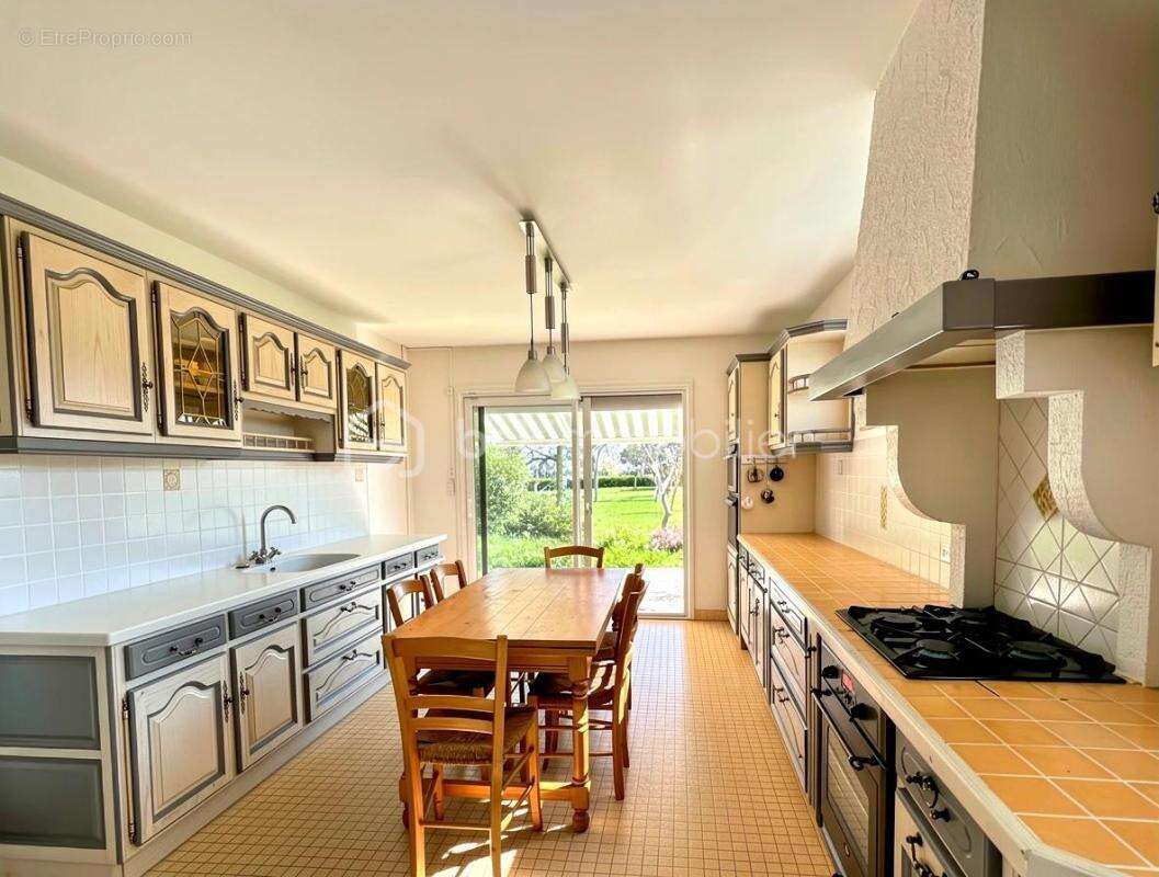 Belle propriété familiale  – DPE C –  Maubourguet / Lembeye - photo 3