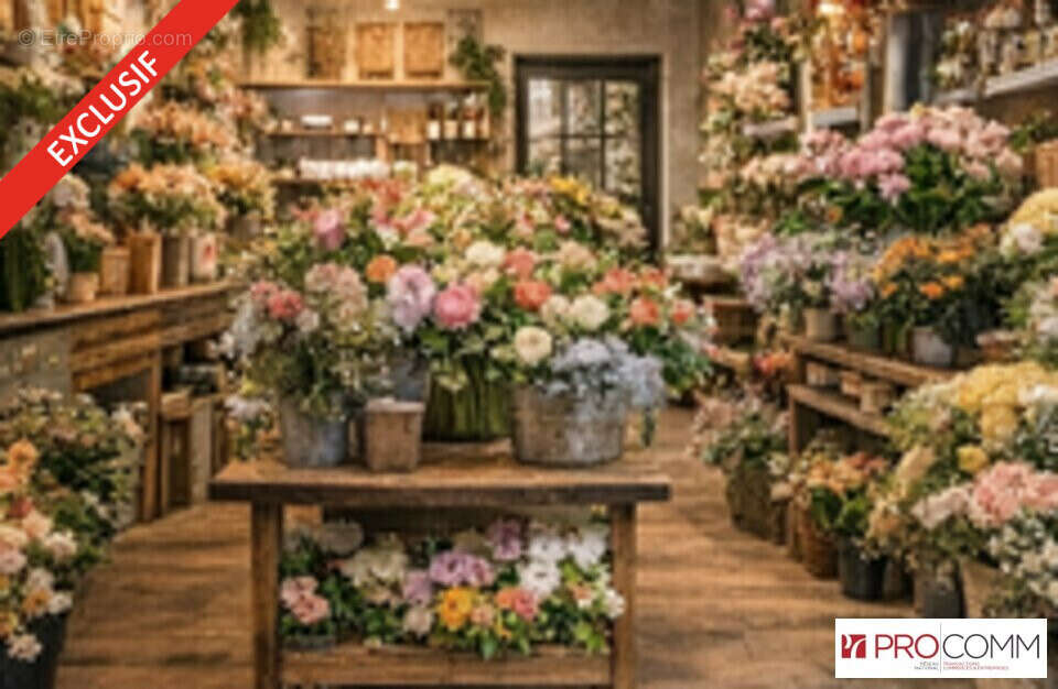 Commerce à SAINT-LOUIS