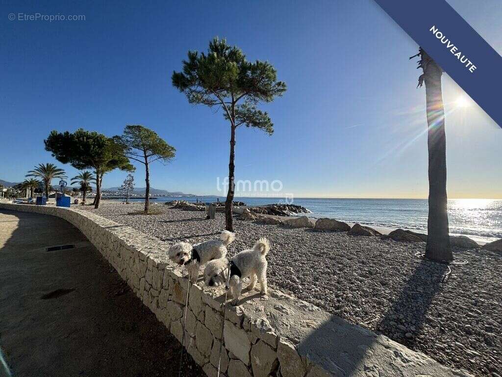 Appartement à VILLENEUVE-LOUBET
