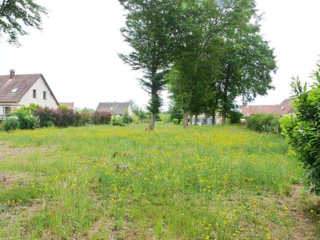 Alors n'hésitez pas à nous contacter pour une visite !!! - Terrain à MONS-EN-LAONNOIS