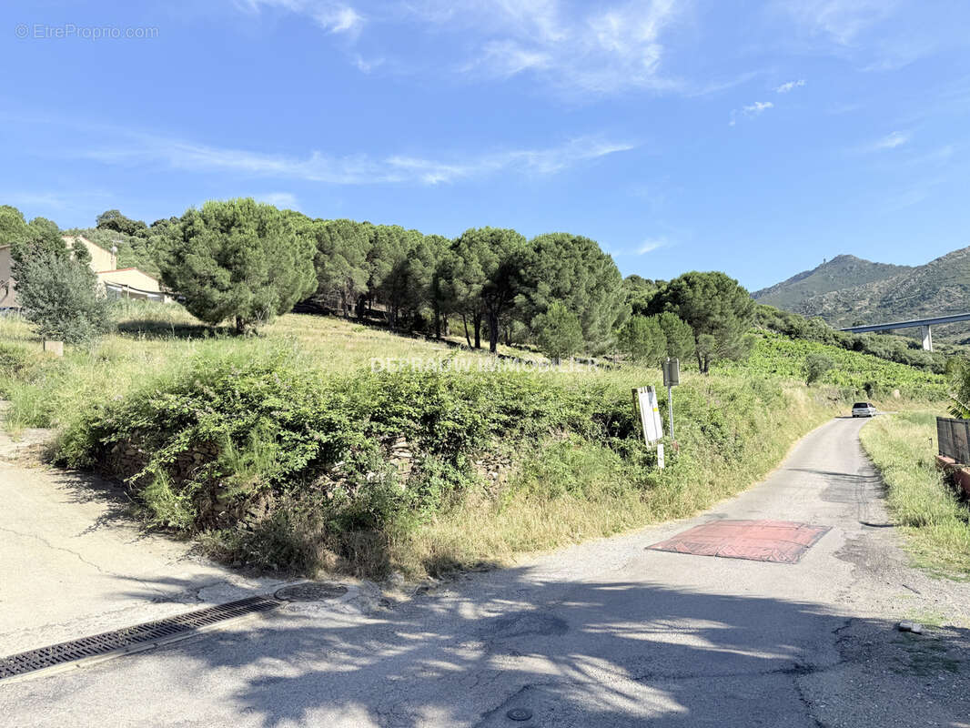 Terrain à COLLIOURE